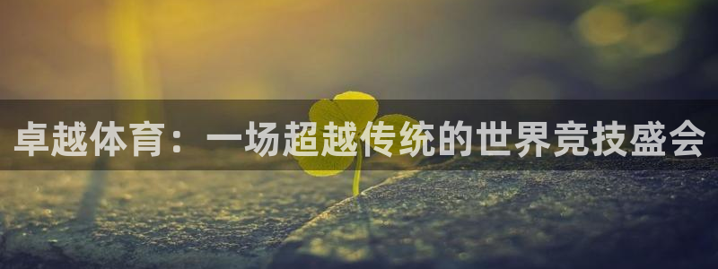 熊猫体育在线观看