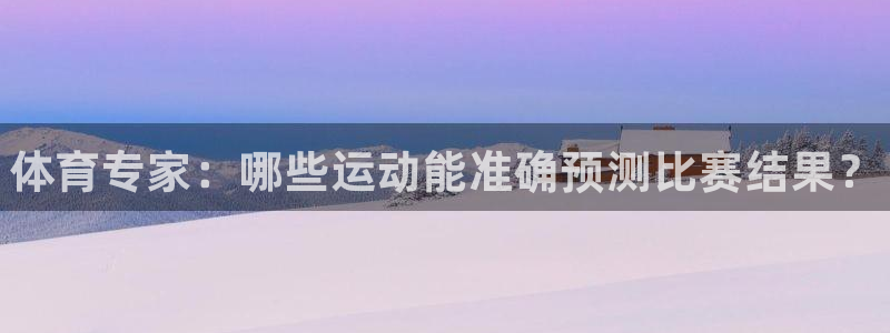 熊猫体育官网