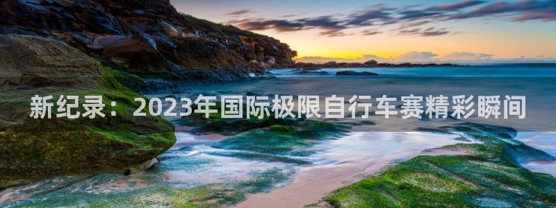 熊猫体育平台官网