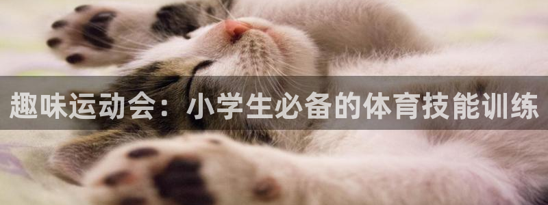 熊猫体育官方网站
