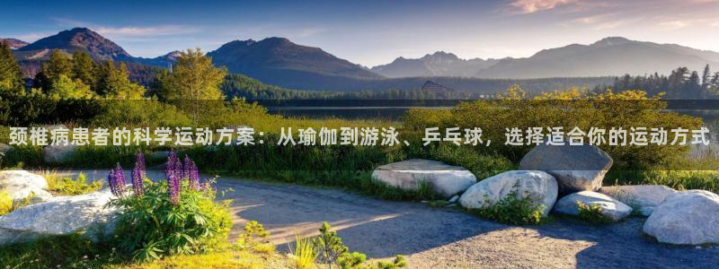 熊猫体育v3.新网页.org