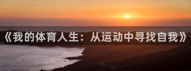熊猫体育网站