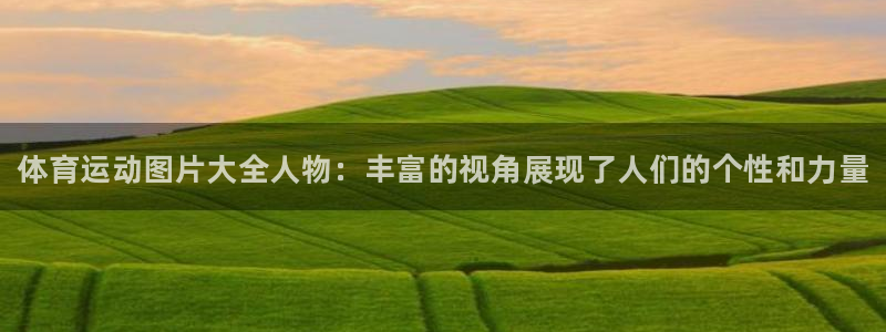 熊猫体育app官方入口