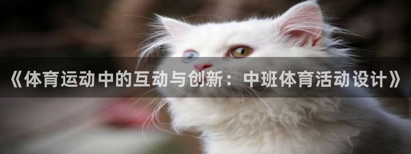 熊猫体育比赛直播
