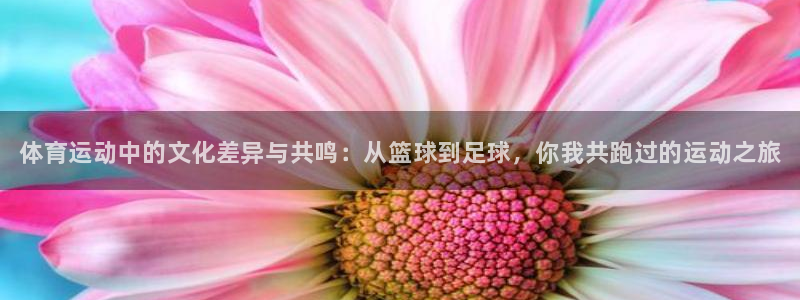 中山熊猫体育