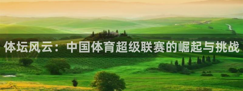 熊猫体育平台官网