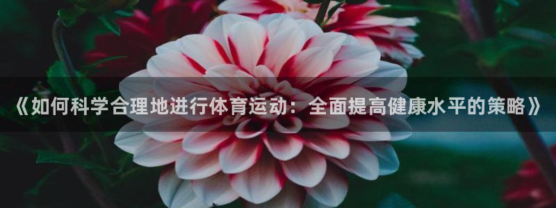 熊猫体育app官方入口