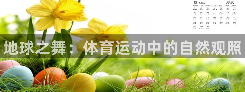 熊猫体育手机版