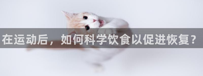 熊猫体育网址