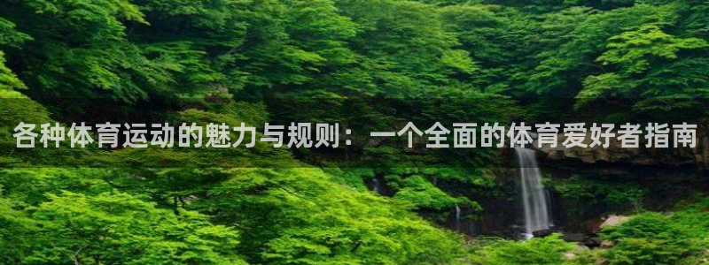 成都熊猫体育公园