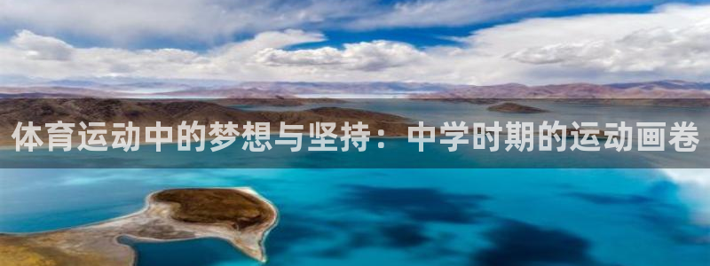 熊猫体育app官网入口