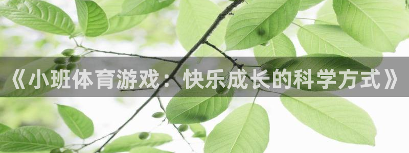 熊猫体育比赛直播
