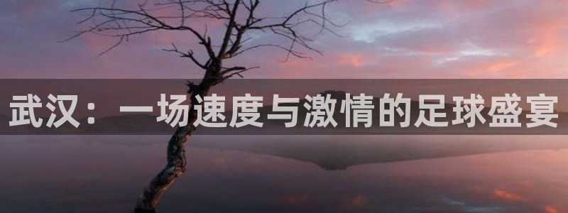 中山熊猫体育