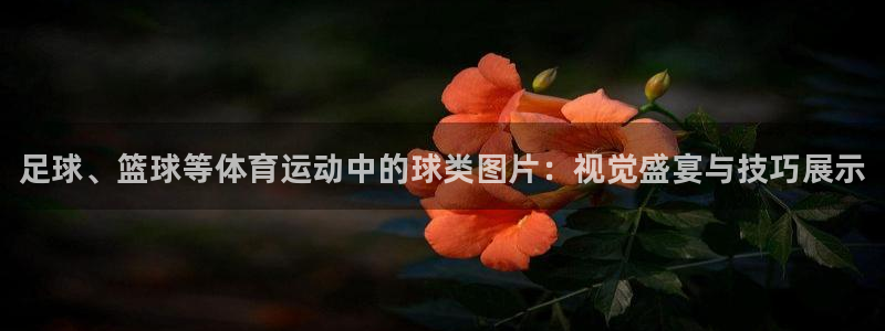 熊猫体育比赛直播