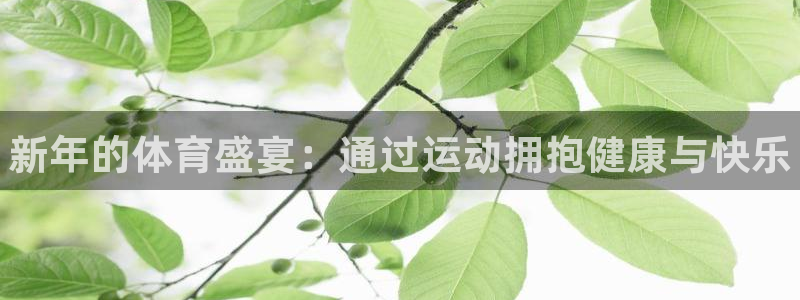 熊猫体育官网