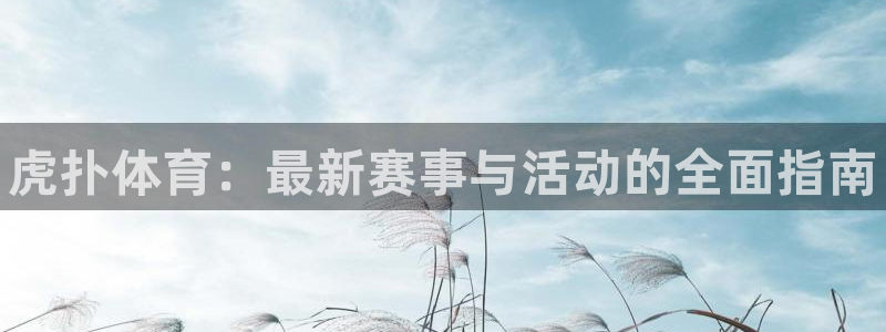 熊猫体育官网