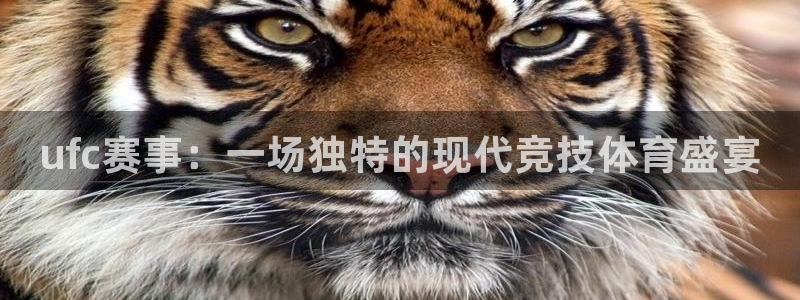 熊猫体育在线