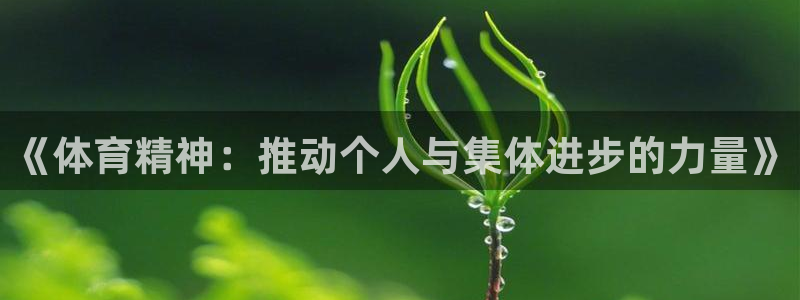 熊猫体育平台官网