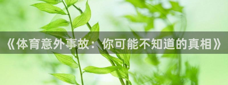 熊猫体育官网首页入口