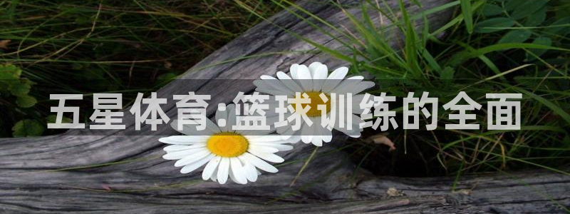 熊猫体育官网首页入口