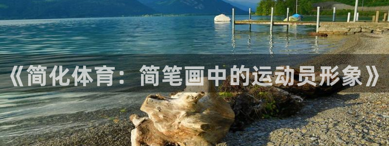 成都金熊猫体育