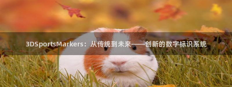 熊猫体育官网首页入口