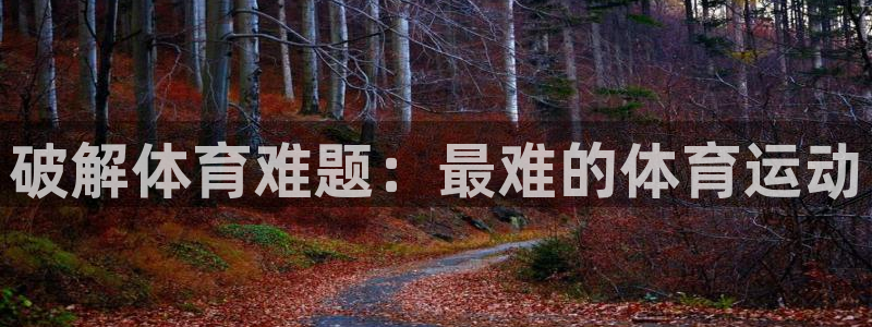 熊猫体育平台官网