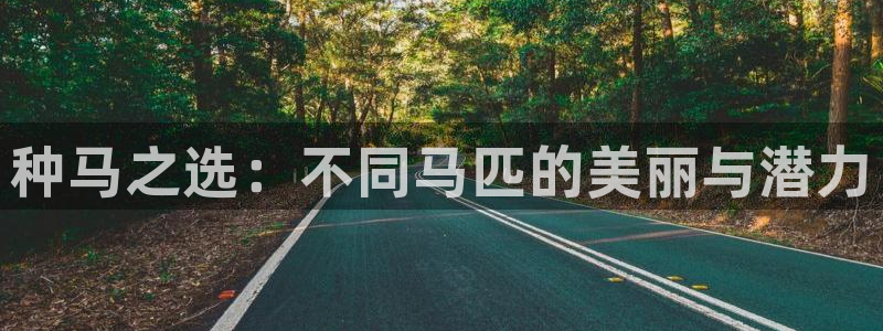 熊猫体育免费下载