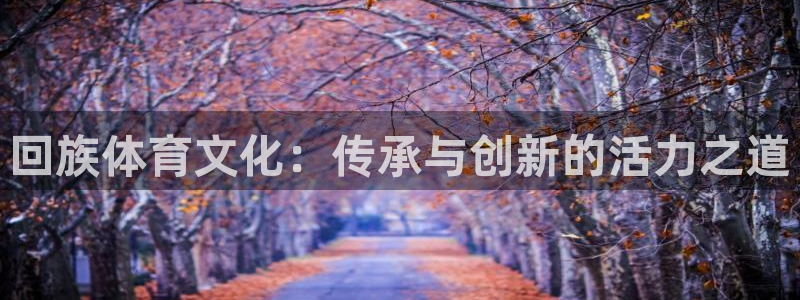 中山熊猫体育