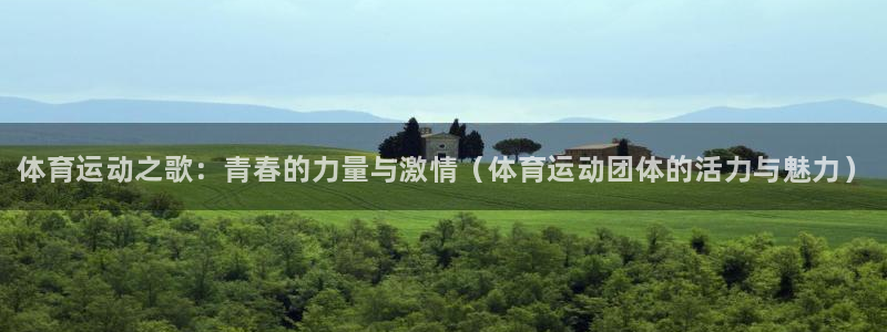 熊猫体育直播