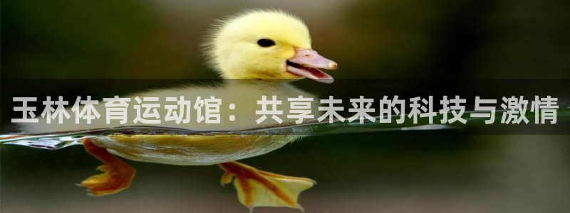 动感熊猫体育公园
