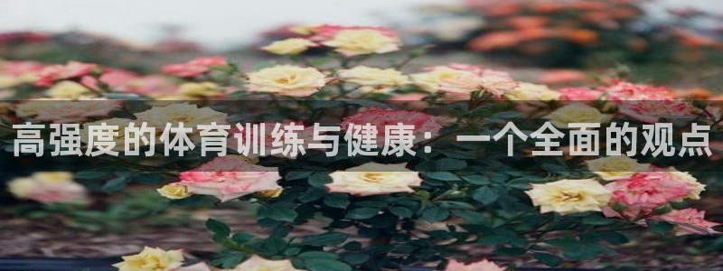 熊猫体育公园