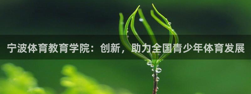 成都金熊猫体育