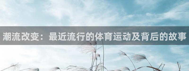 熊猫体育网站