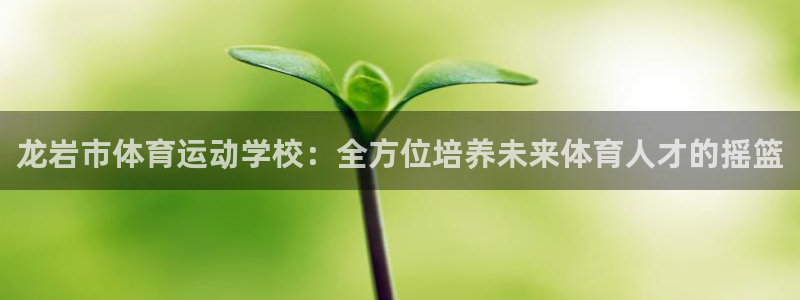 熊猫体育网址