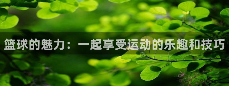 熊猫体育手机版