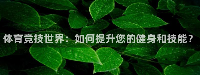 熊猫体育比赛直播