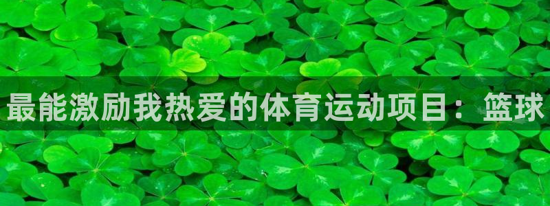 熊猫体育v3.新网页.org