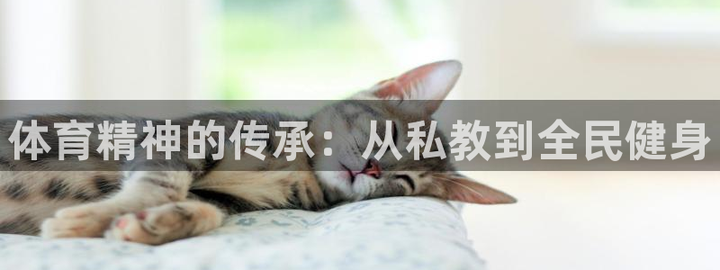 熊猫体育官网首页入口