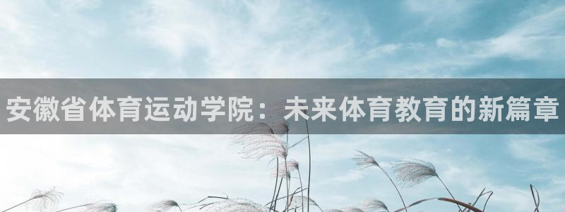 熊猫体育文化有限公司
