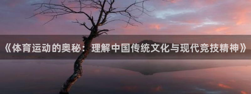 熊猫体育在线观看
