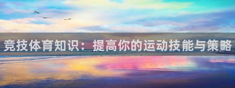 熊猫体育在线