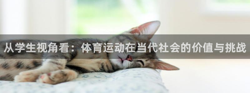 熊猫体育app官网入口