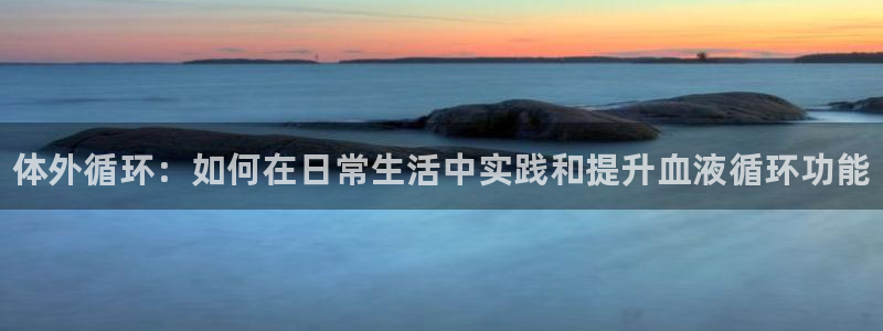 熊猫体育公园价格
