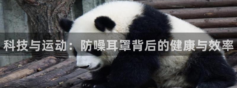 下载熊猫体育