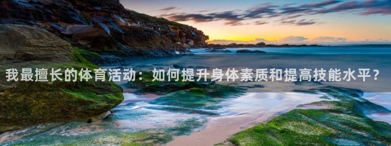 动感熊猫体育公园