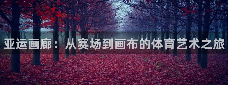 熊猫体育平台
