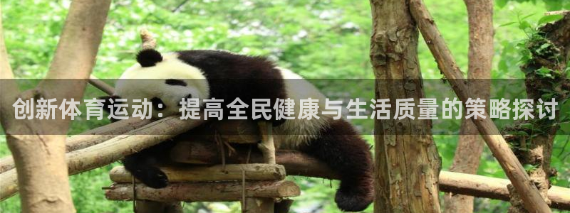 熊猫体育在线