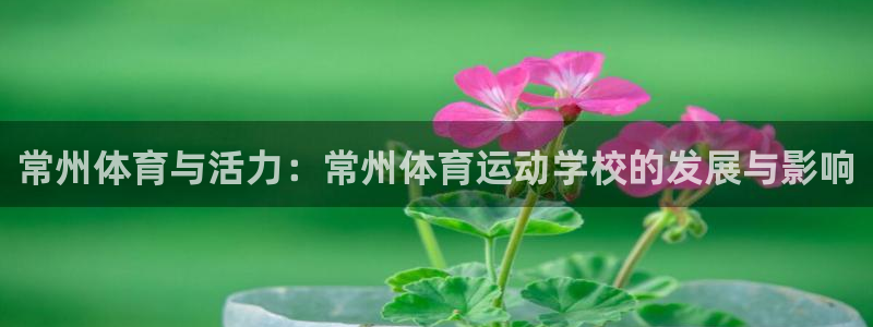 熊猫体育v3.新网页.org