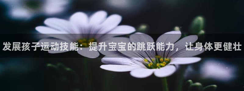 熊猫体育在线观看